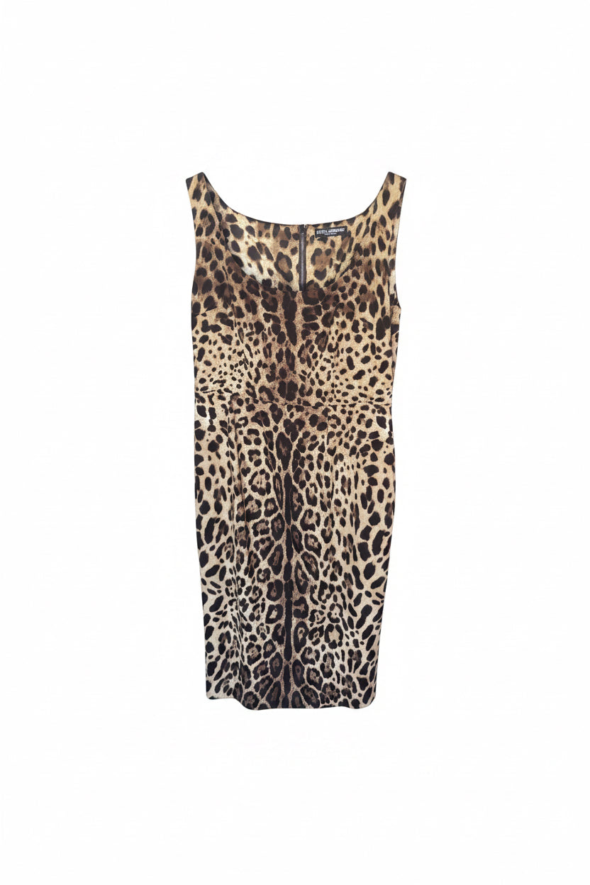 Dolce & Gabbana Leopard Print Dress